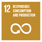 SDG: Responsible consumption and production